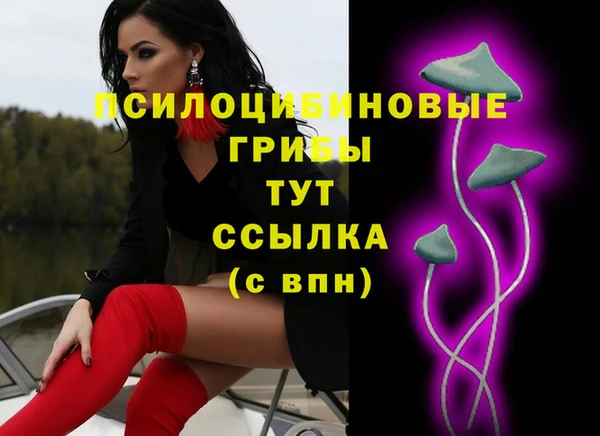 гидра Покровск