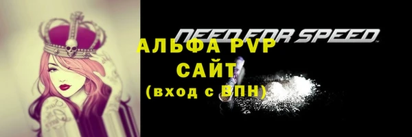 гидра Покровск
