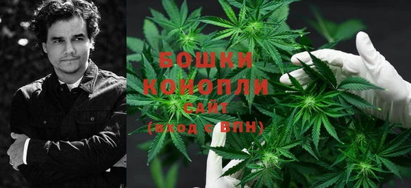 гидра Покровск