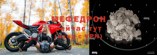 индика Моршанск