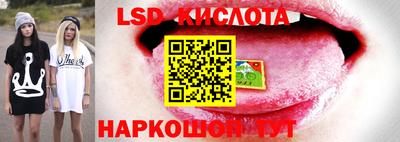 бошки Донской