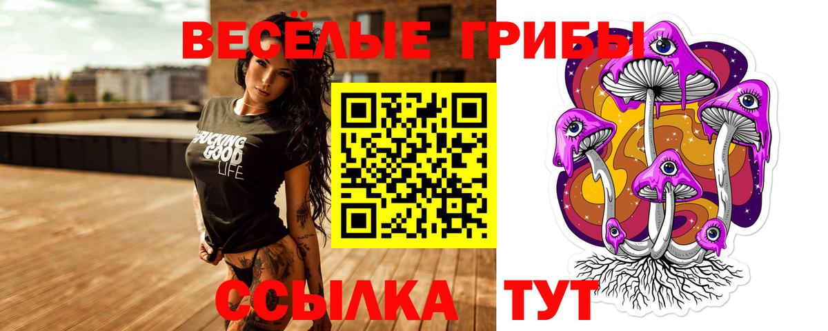 Галлюциногенные грибы ЛСД  купить наркоту  Сибай  Вход с VPN 