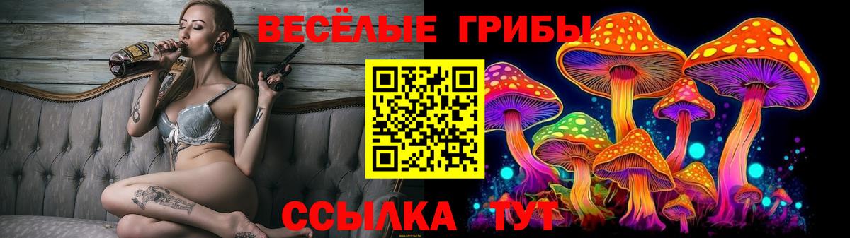 Псилоцибиновые грибы GOLDEN TEACHER Сибай